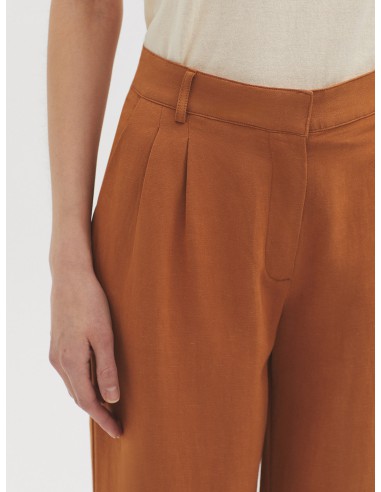 Maxipantalon pinces lin